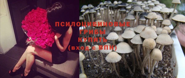 Альфа ПВП Лабытнанги