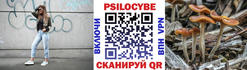 Галлюциногенные грибы Cubensis  Бирюч 